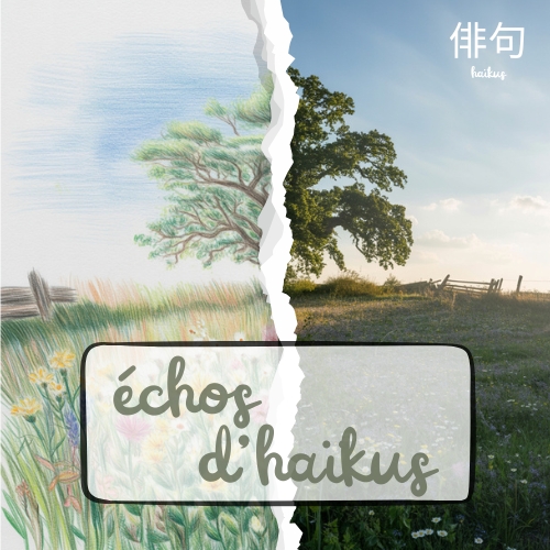 Echos d'Haïkus